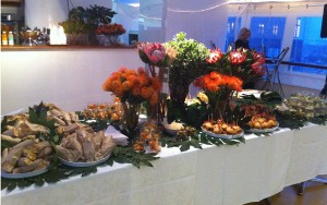 IMG_2051
